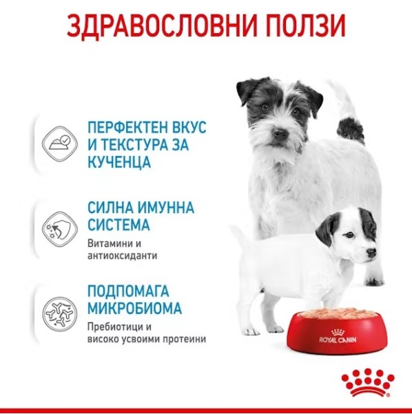 Royal Canin Starter Mousse Can 195g - Мус за бременни и кърмещи кучета и техните малки кученца
